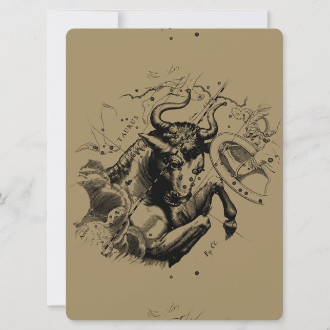 Taurus Constellation Hevelius 1690 Engraving (Front)