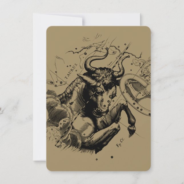 Taurus Constellation Hevelius 1690 Engraving (Front)