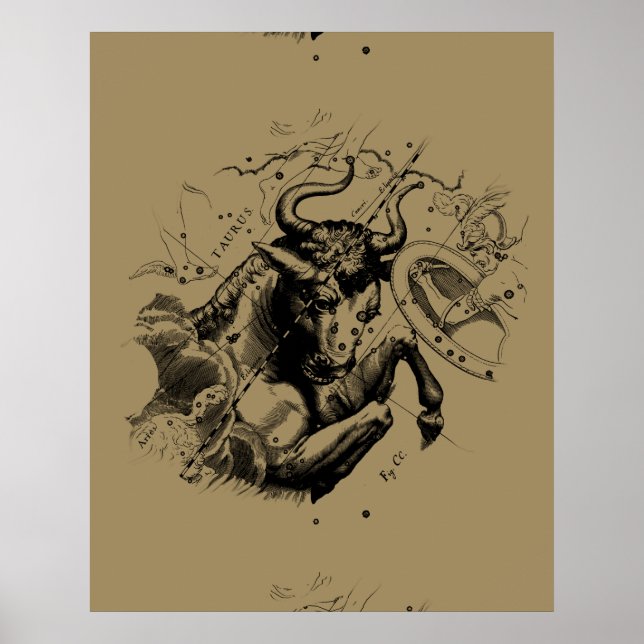 Taurus Constellation Hevelius 1690 Engraving Poster (Front)