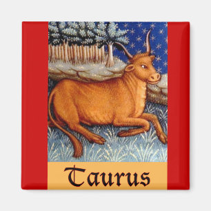 Taurus Magnet