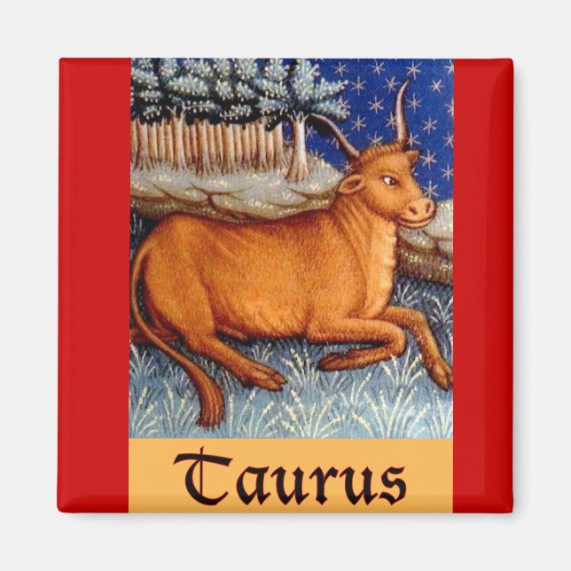 Taurus Magnet (Front)