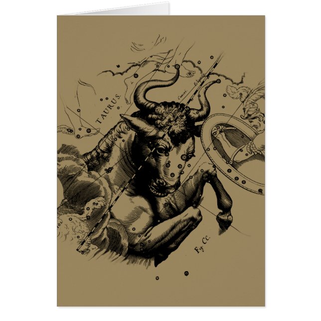 Taurus Zodiac Constellation Map Hevelius 1690 (Front)