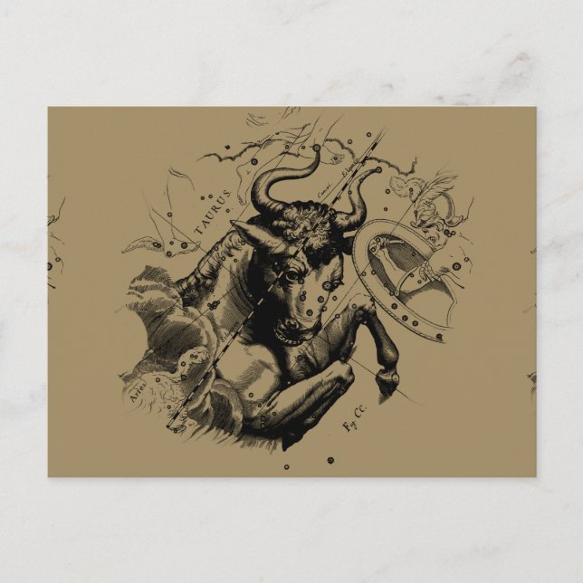 Taurus Zodiac Constellation Map Hevelius 1690 Postcard (Front)