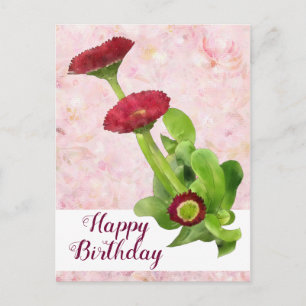 Tausendschön Postcard