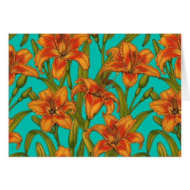 Tawny dailily flowers (Front Horizontal)