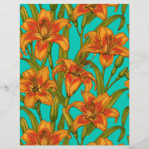 Tawny dailily flowers
