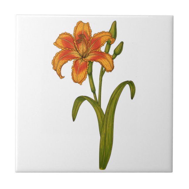 Tawny daylily ceramic tile (Front)