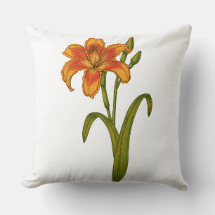 Tawny daylily cushion