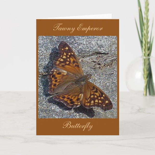 Tawny Emperor Butterfly Note Card (Front)