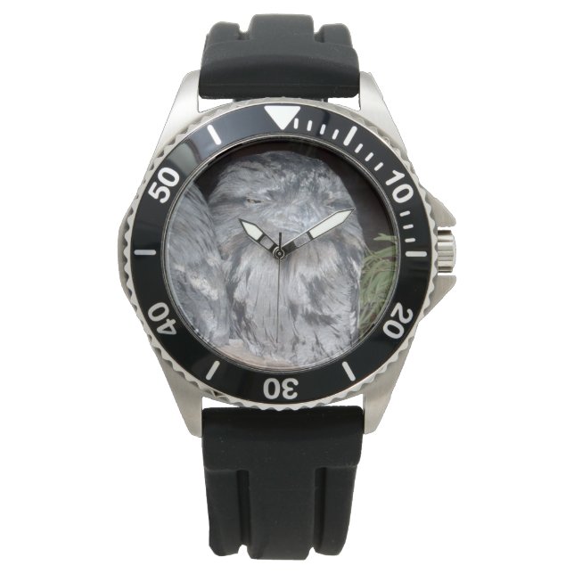Tawny_Frog_Mouth_Owl,_ Watch (Front)