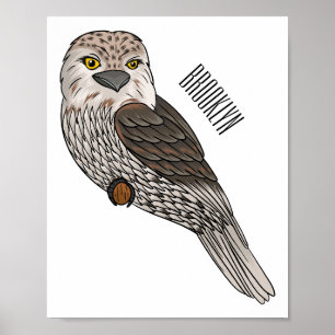 Tawny frogmouth bird cartoon illustration poster