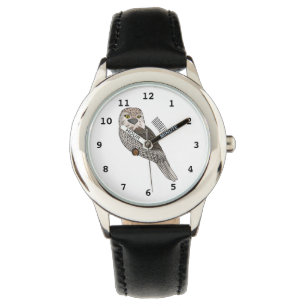 Tawny frogmouth bird cartoon illustration watch