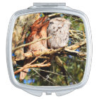 TAWNY FROGMOUTH OWLS RURAL QUEENSLAND AUSTRALIA