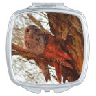 TAWNY FROGMOUTH RURAL QUEENSLAND AUSTRALIA