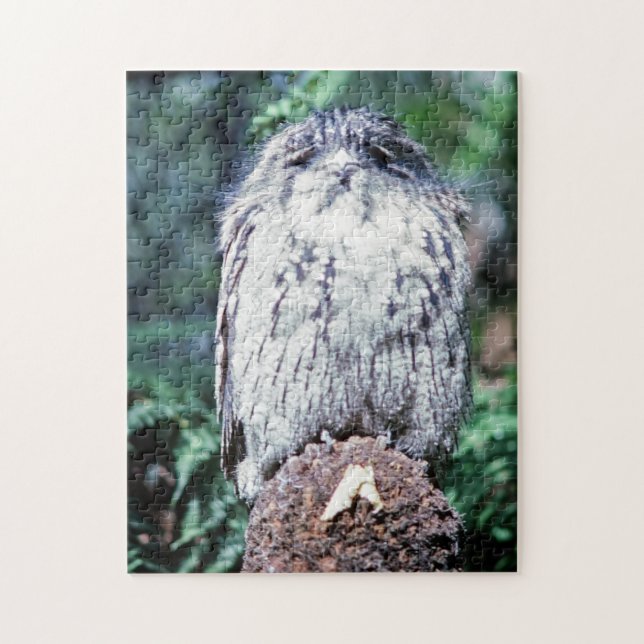 Tawny Frogmouth, Tasmania - Australia Jigsaw Puzzle (Vertical)