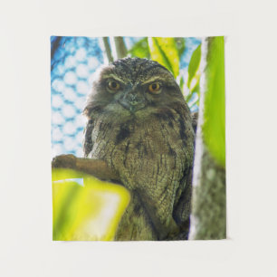 Tawny is No Owl Tapestry