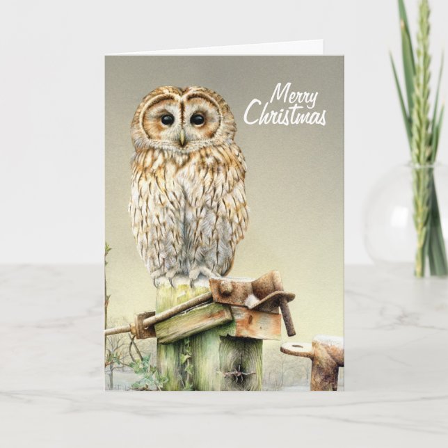 Tawny Owl in the snow fine art Christmas card (Front)