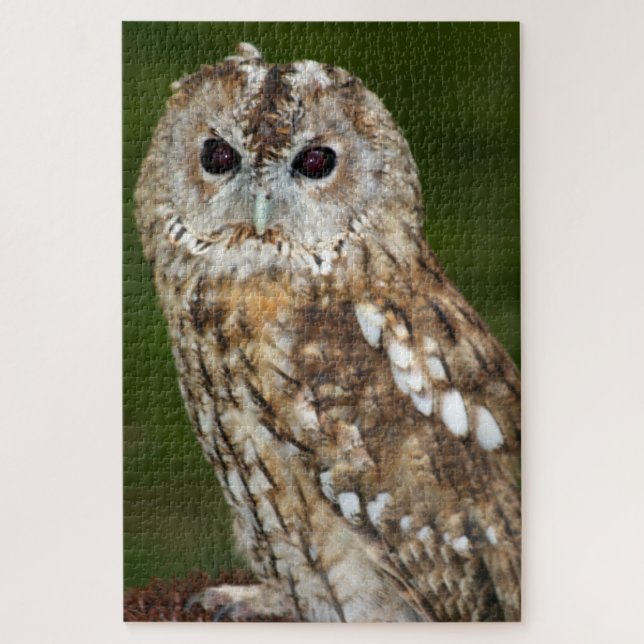 Tawny Owl Jigsaw Puzzle (Vertical)