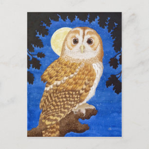Tawny Owl Postcard