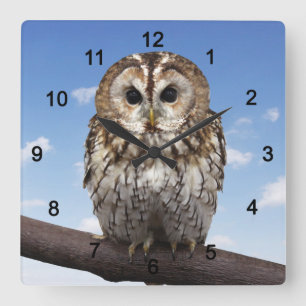 Tawny Owl Square Wall Clock