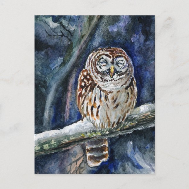 Tawny Owl watercolor painting Postcard (Front)