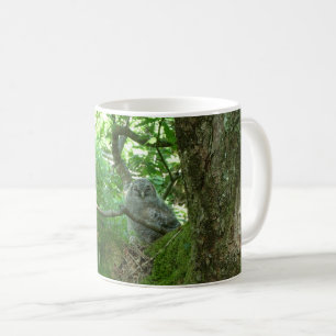 Tawny Owlet in an Ancient Oak Tree Coffee Mug