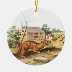 Tawny Weasel (Putorius fuscus) Illustration Ceramic Ornament