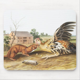 Tawny Weasel (Putorius fuscus) Illustration Mouse Pad
