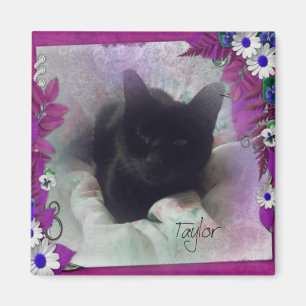 Taylor Refrigerator Magnet