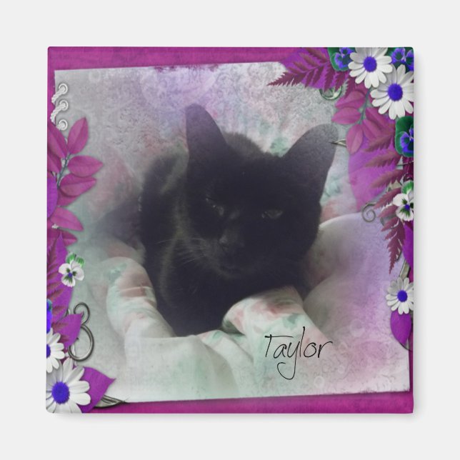 Taylor Refrigerator Magnet (Front)