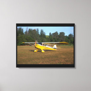 Taylorcraft, BC-12, 1941_Classic Aviation Canvas Print