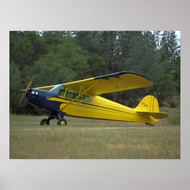 Taylorcraft, DC-65, 1941_Classic Aviation Poster (Front)