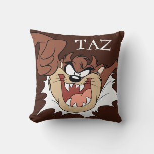TAZ™ Bursting Through Page Cushion