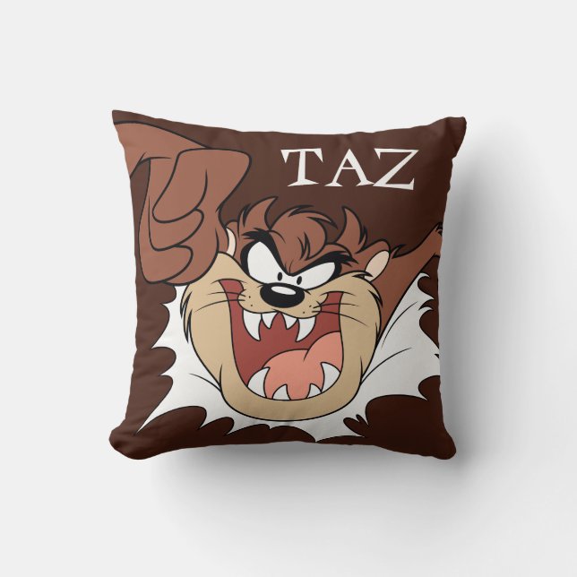 TAZ™ Bursting Through Page Cushion (Front)