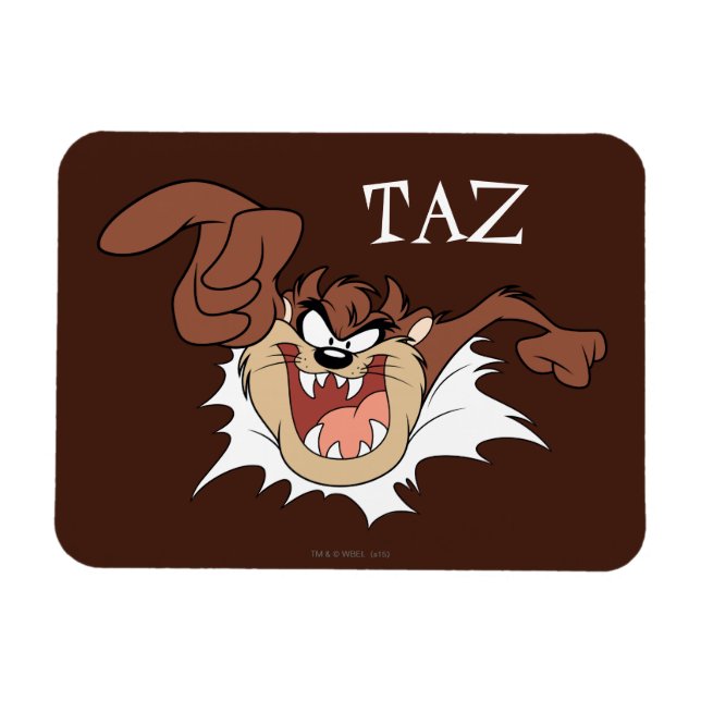 TAZ™ Bursting Through Page Magnet (Horizontal)