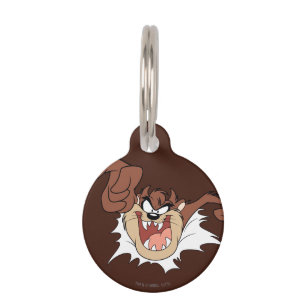 TAZ™ Bursting Through Page Pet Tag