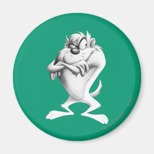 TAZ™ Drawing Magnet