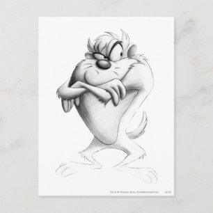 TAZ™ Drawing Postcard