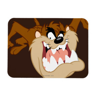 TAZ™ Evil Grin Magnet