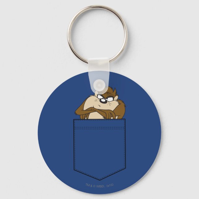 TAZ™ In A Pocket Key Ring (Front)