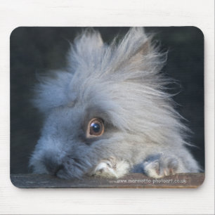 Taz Mousemat