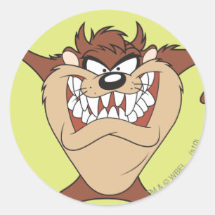 TAZ™ posing 15 Classic Round Sticker