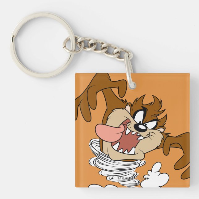TAZ™ Whirling Tornado Key Ring (Front)