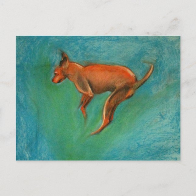 Tazzmaster Postcard (Front)