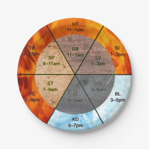 TCM clock elements meridians organs acupuncture Paper Plate