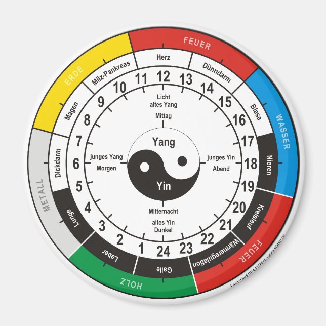 TCM clock / organ clock Magnet (Front)