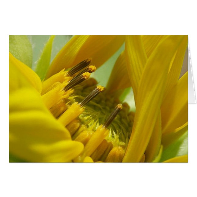 Te amo (Front Horizontal)