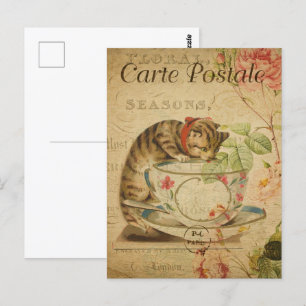 Tea Cup Kitten Postcard