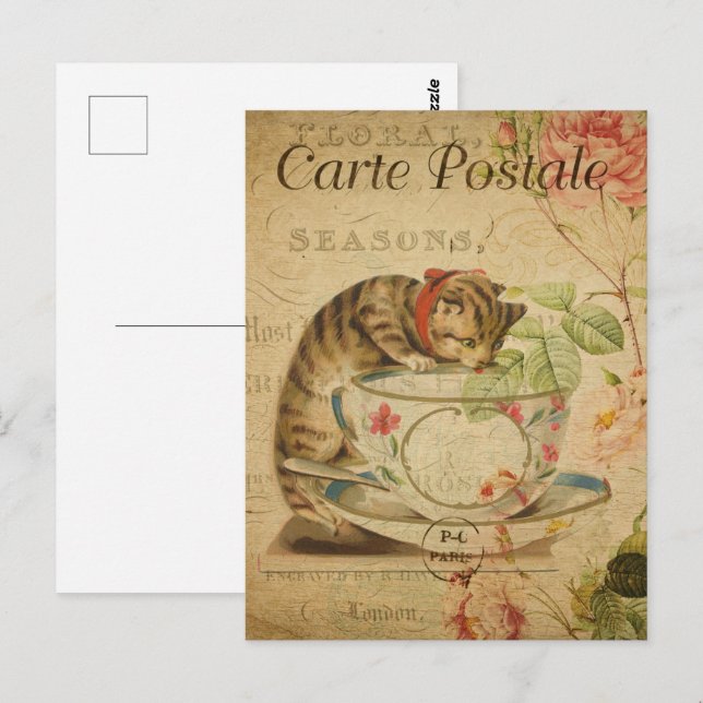Tea Cup Kitten Postcard (Front/Back)