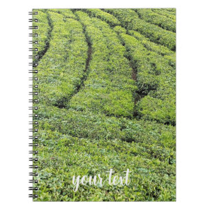 Tea gardens of Munnar on Notebook